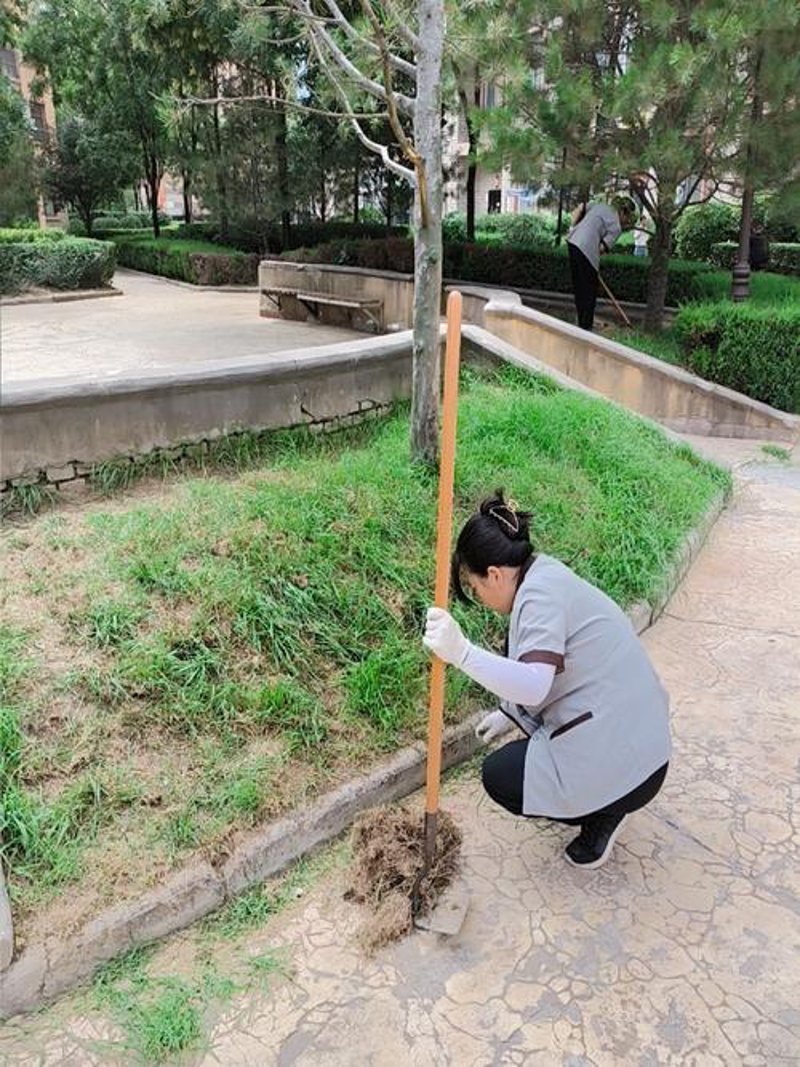 东莞物业升级：精细化管理服务引领新潮流